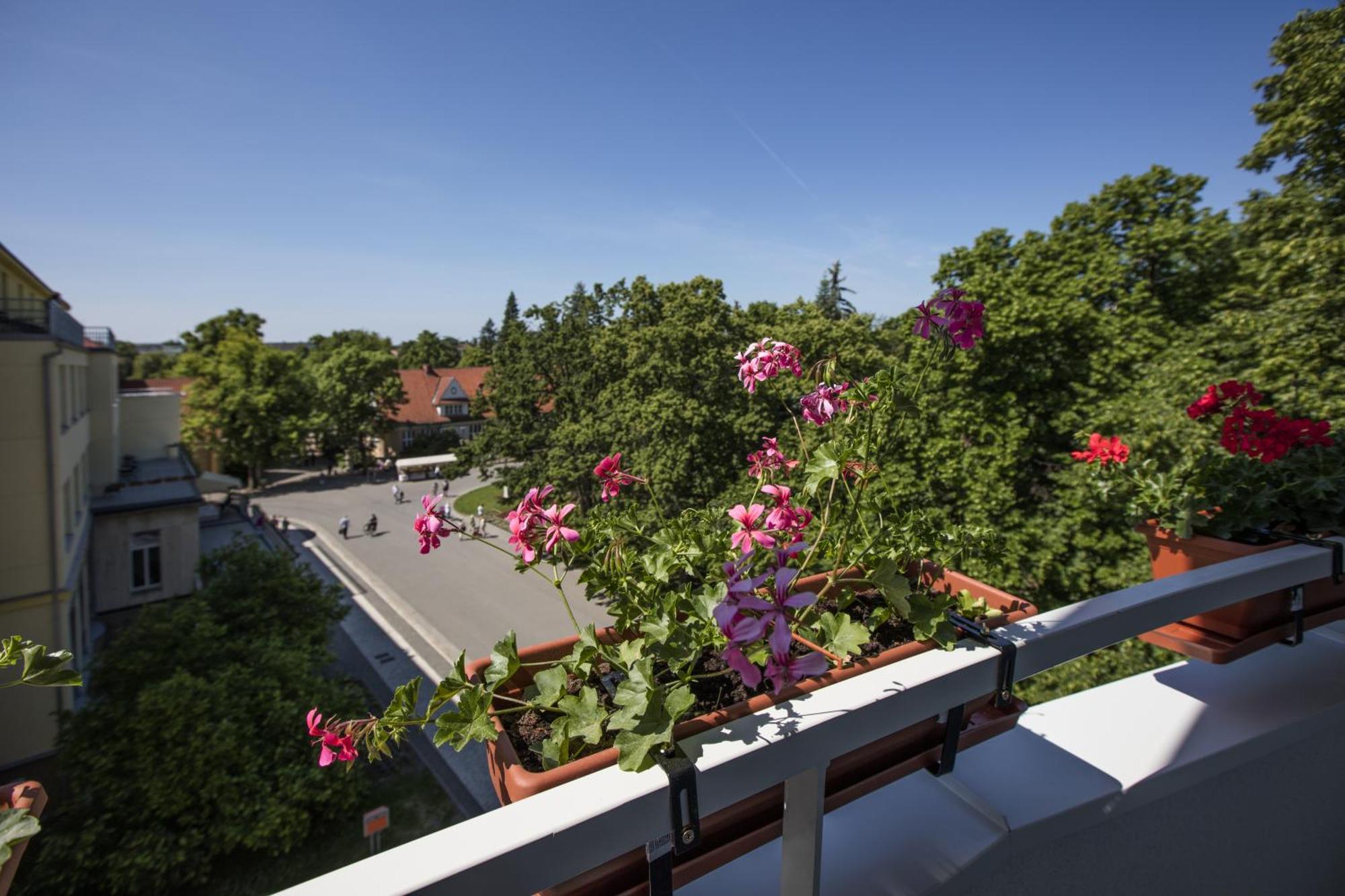Hotel Bellevue Tlapak Poděbrady 部屋 写真